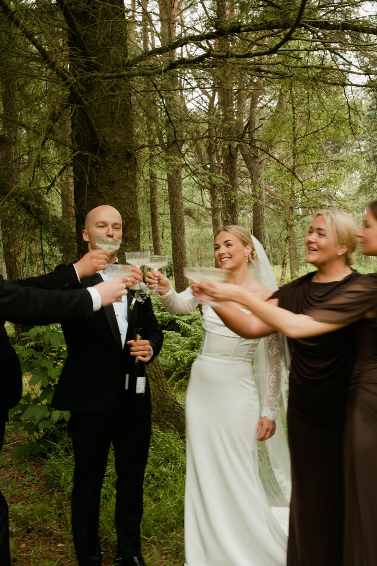Champagne toast among the pines